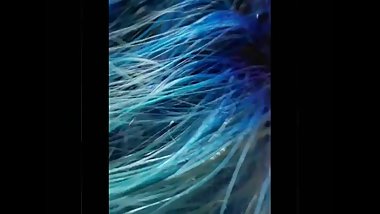 I love sucking dick!!