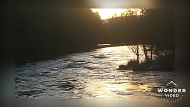 I saw a Beaver..pt 1.