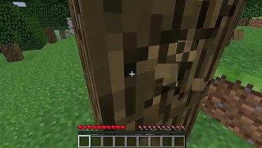 First minecraft gameplay by cute nubile teen boy