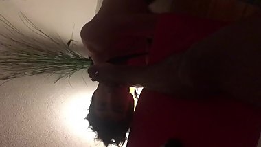 submisso lambendo e servindo Ã s ordens do seu Mestre