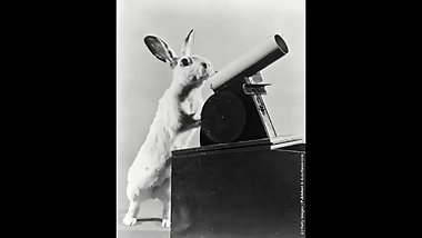 JQW - God Gifted (Prod. By The Man Who Sold the World Productions) [Audio]