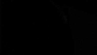 ebony teen stepdaughter blowjob